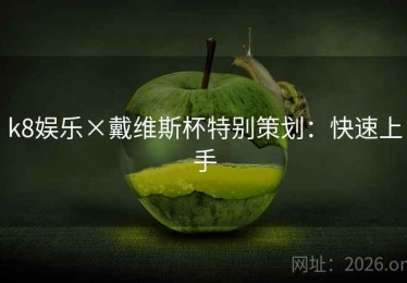 k8娱乐×戴维斯杯特别策划：快速上手