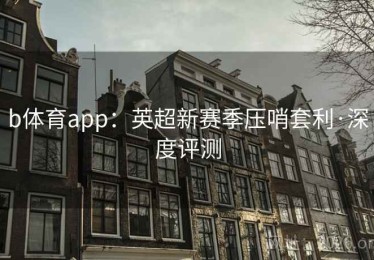 b体育app：英超新赛季压哨套利·深度评测