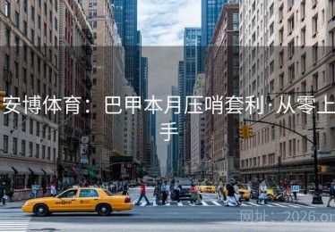 安博体育：巴甲本月压哨套利·从零上手