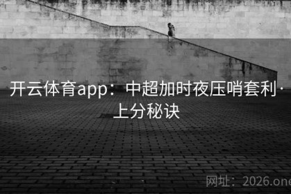 开云体育app：中超加时夜压哨套利·上分秘诀