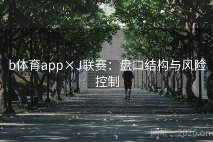 b体育app×J联赛：盘口结构与风险控制