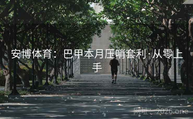 安博体育:巴甲本月压哨套利·从零上手 安博体育:巴甲本月压哨套利·从零上手